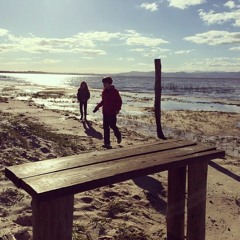 Dia Especial - Cidadão Quem (cover)