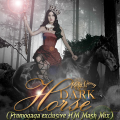 Katy Perry - Dark Horse (La Promo Exclusive HS Mash Mix)