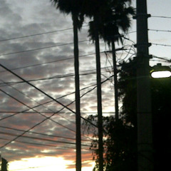 Roger Matuz - 1080 Carro Alerta