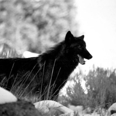 Тамила Сагаипова ~ Мой Нанак