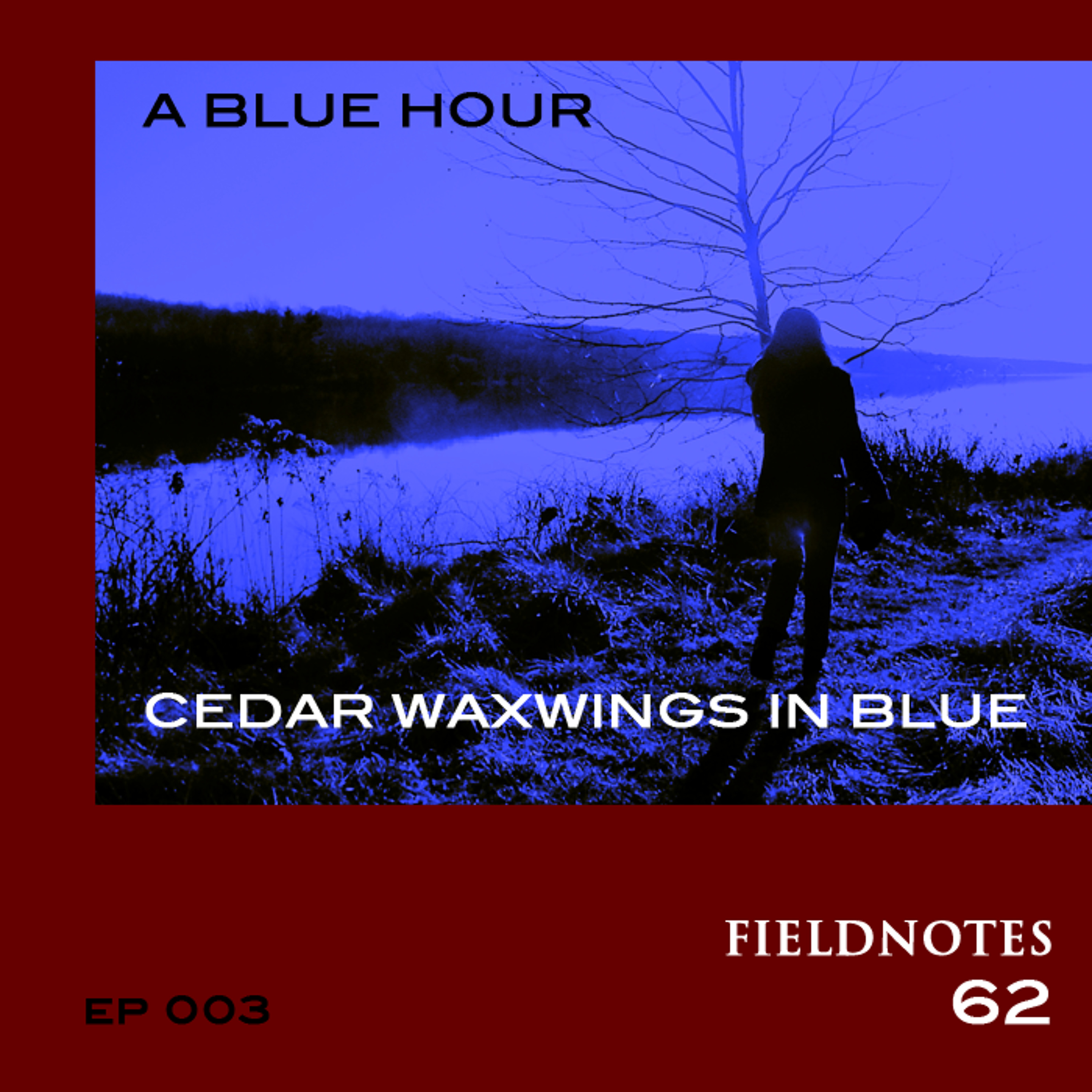Cedar Waxwings In Blue episode artwork
