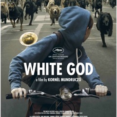 White God - Dogs In The City