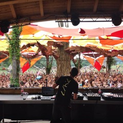 Sinerider LIVE At Ozora Festival 2014