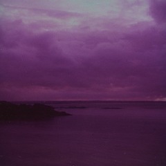 Elephant (Warpaint Cover)