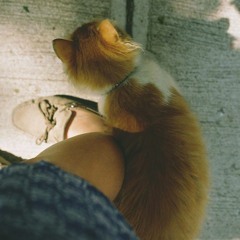 Seni Seviyorum @ Manuş Baba