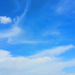 자작곡 i just wanna say i luv u