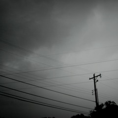 SHABBY MULE - We All Fall (Steve Von Till)