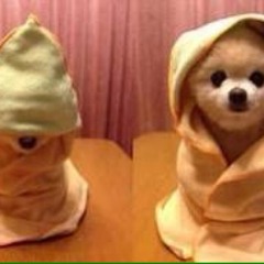 น้องก้อปแก้ป Cover Touch My Body Ver.1