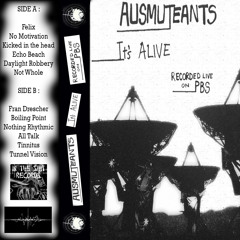 AUSMUTEANTS " tunnel vision "