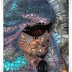 مديح حادي الهوى