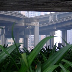 Fumble In De Dzungle