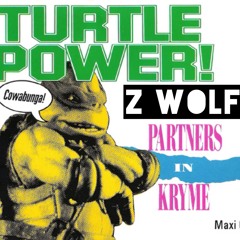 TURTLE POWER (Z Wolf Mix)