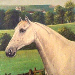 White Horse And Me