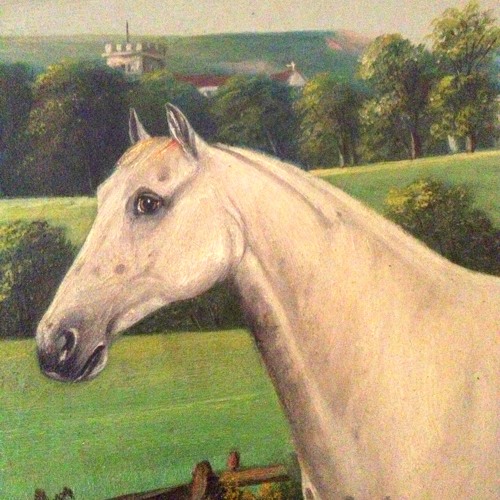 White Horse And Me