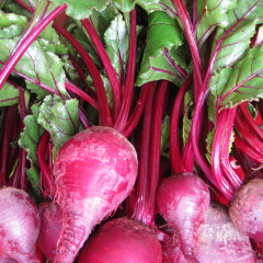 old beets and mashups