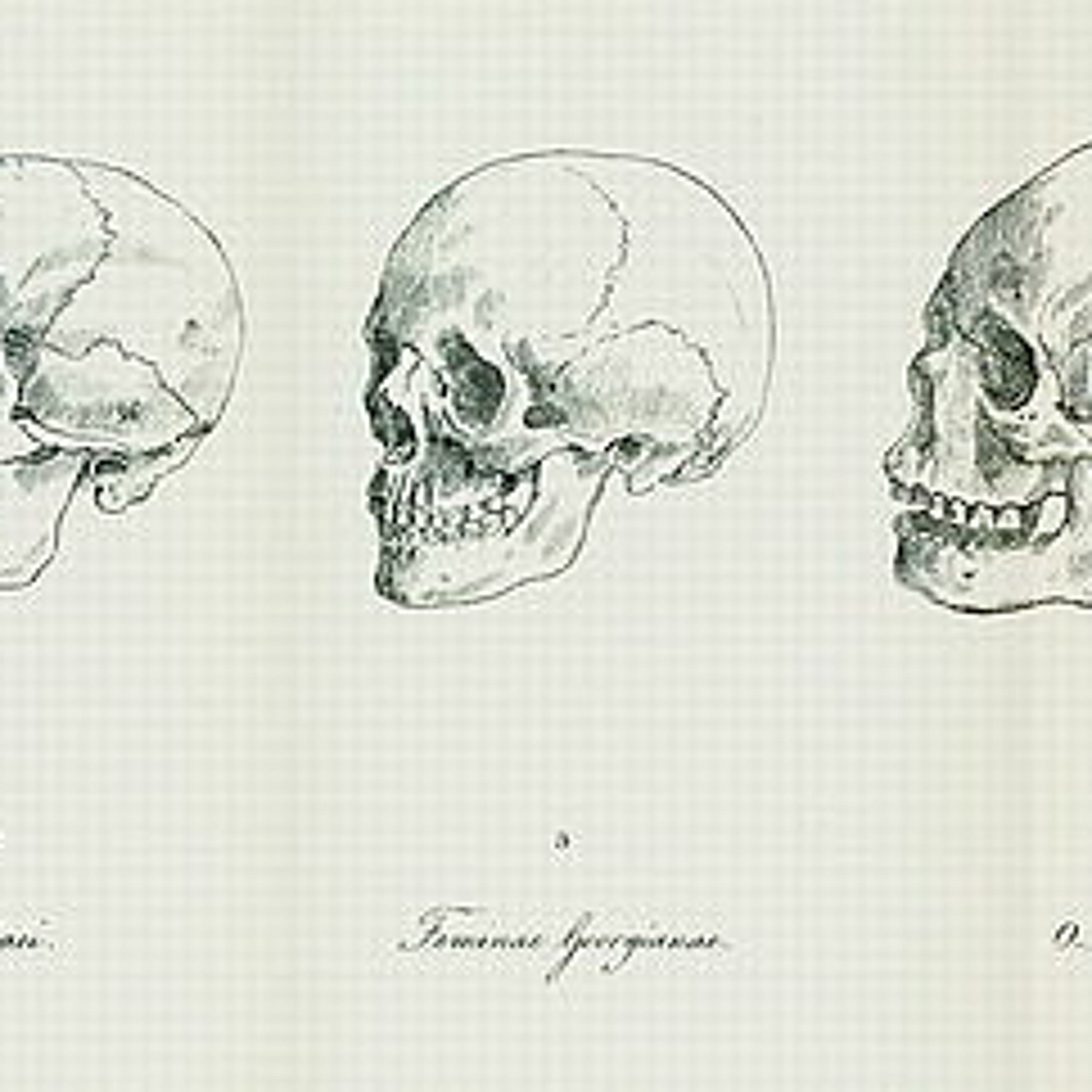 AnthroStory