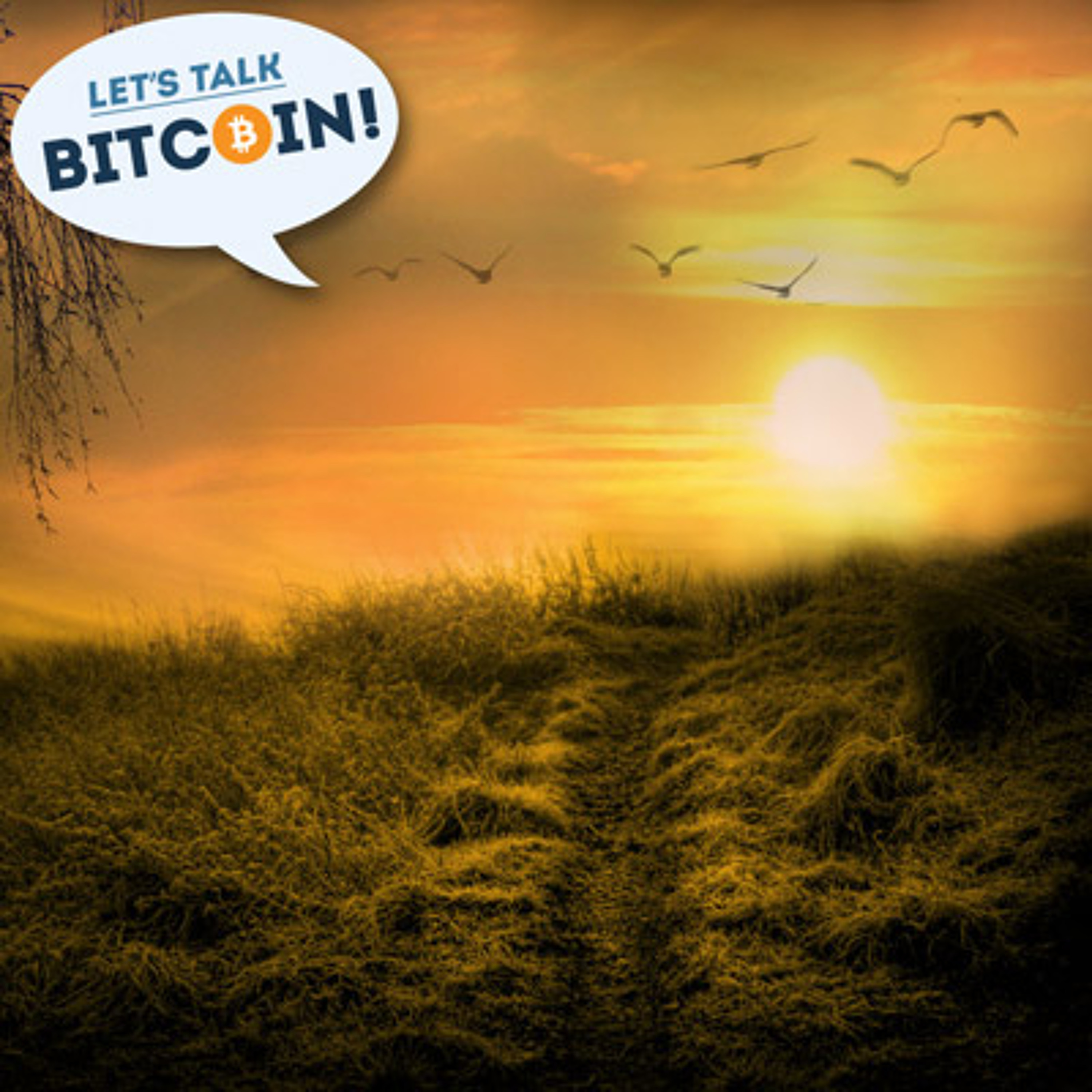 LTB 133 The Digital Divide