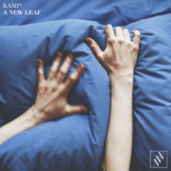 Kamp! - A New Leaf (Flirtini remix)