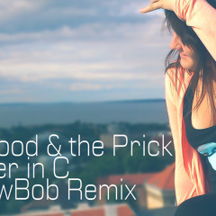 Lilly Wood & The Prick - Prayer in C (jLowBob Dubstep Remix)