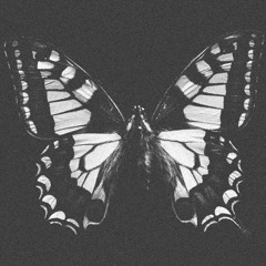 Danny Darko - Butterfly [Matias Quarleri RMX]