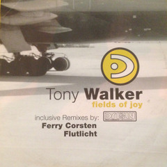 Tony Walker - Field Of Joy (Flutlicht Remix)