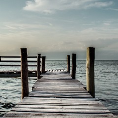 One Last Dance (Original Mix) - Soeren Lindberg Feat. Janine Delon