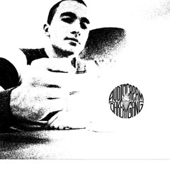 Lil Wayne Ft. Nicki Minaj,Busta Rhymes,Missy Elliott - Golden State (Chukee MashUp)