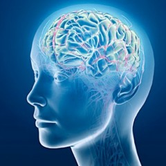 Binaural Beat Meditation