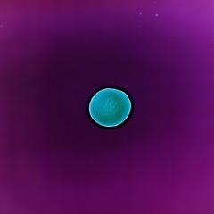 Cooch (Kendrick diss)