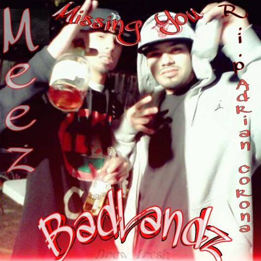 Meez - Missing You