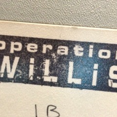 Swimming in the Sand by Operation Willis