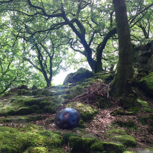 Japanese Garden Meditation in a British Forest - Lake District, Cumbria, UK