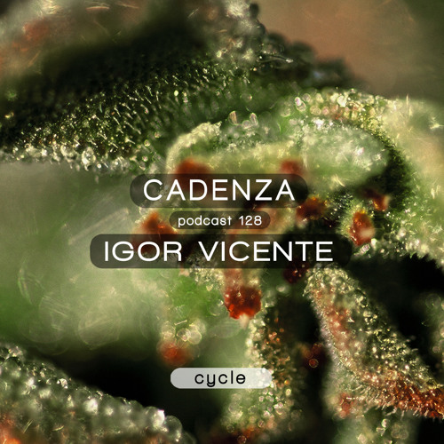 Cadenza Podcast | 128 - Igor Vicente (Cycle)