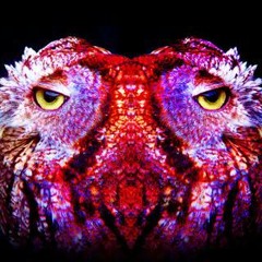 CAVEMAN - Weareallanimal.demoo unmastered