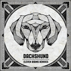 Dachshund - Mosquito Coast (Mihai Popoviciu Remix)