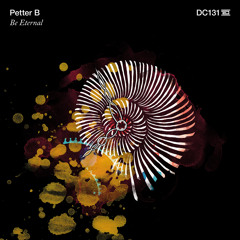 Petter B - Voltage Controlled Time - Drumcode - DC131