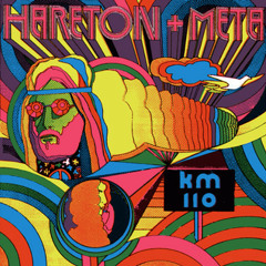 Hareton Salvanini - Hareton + Meta - KM110