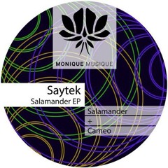 TRACKS 2013/2014 - SOMA - MY FAVORITE ROBOT - BEDROCK - CUBISM - MONIQUE MUSIQUE - LUCIDFLOW + MORE