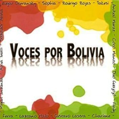 16 Viva Mi Patria Bolivia