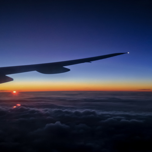 Soar