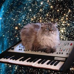 I play synth. We all play synth!