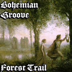 Forest Trail