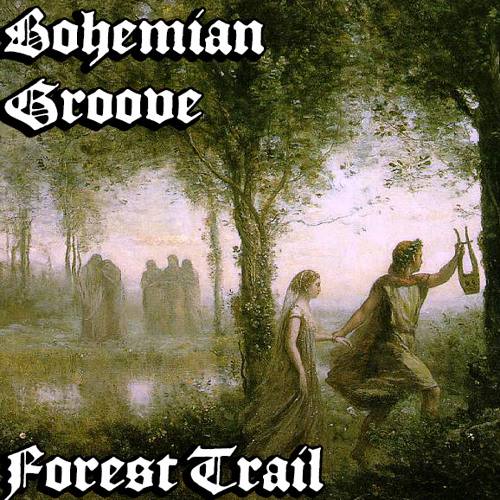 Forest Trail