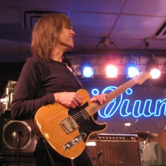 Tele Blues - with Telefan / guitar