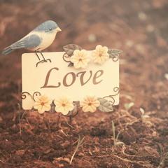 Wlad Borges - Eu Vou Tentar.mp3