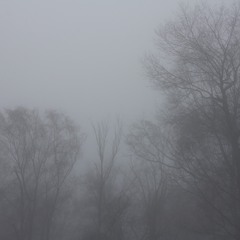 Three Chorales For String Quartet (2008)