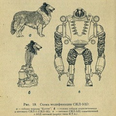 Modulo and the Humans
