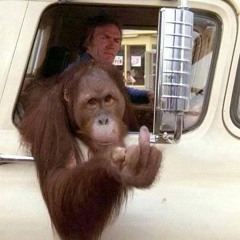 Monkey Funk (Instrumental) - Daz Bee