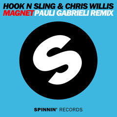 Hook N Sling feat. Chris Willis - Magnet (Pauli Gabrieli Remix)