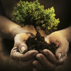 The Holy Treenity - Let The Turbulent Body Cannon Crawl Up The Stairs